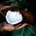 ¿Cómo se elige un buen aceite de coco?  Blog de Obio