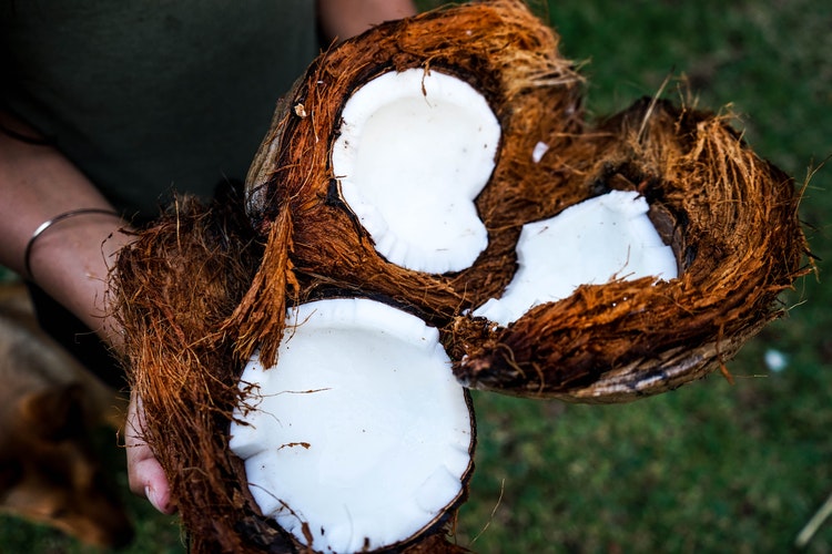 11 curiosidades que no sabías sobre el aceite de coco